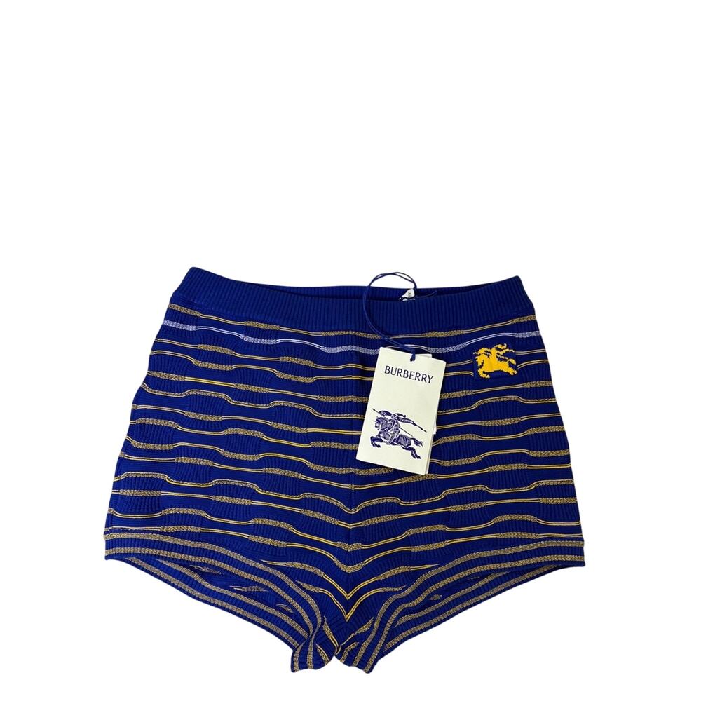 Burberry Blue & Gold Striped Knit Shorts M